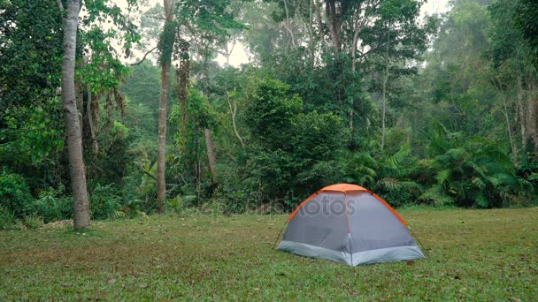 Camping In The Forest Video By C Infocusvideo Stock Footage 142342306