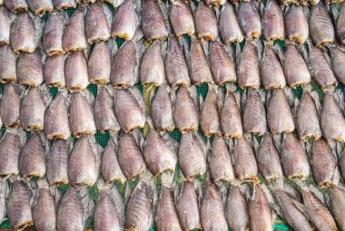 Bambu raf çok küçük balık ile kaplıdır