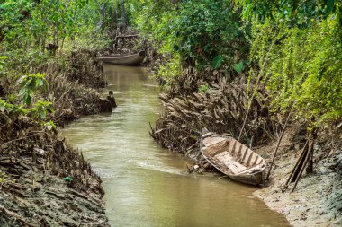Mekong Deltası'nda kanal teknede.
