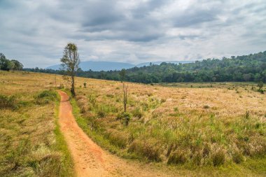 Otlaklar Khao Yai Milli Parkı