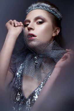 Frost Kaşlarında soğuk kraliçeyle suretinde güzel kız. Yaratıcı makyaj ve kafasında taç modeliyle.