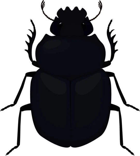 Scarab pictogram. Eenvoudige illustratie van — Stockvector