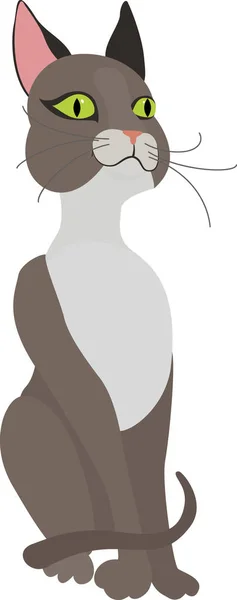 Mascotte de chat gris dessin animé personnage — Image vectorielle
