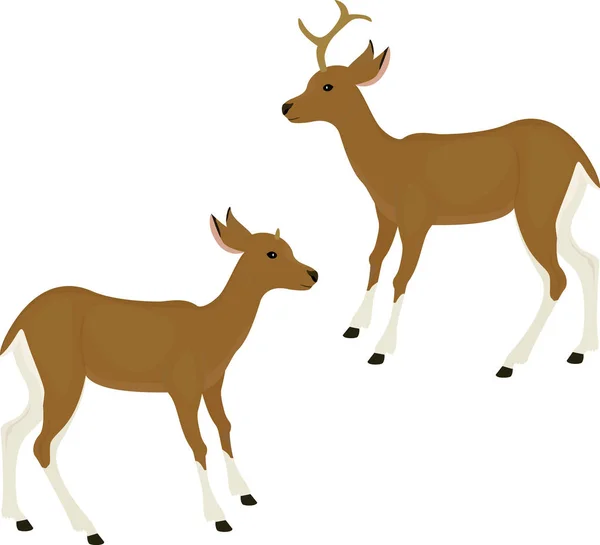 Sevimli geyik simgesi üzerinde beyaz izole