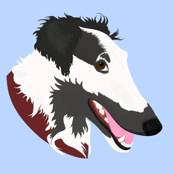 Vektor ilustrovaná portrét psa barzoj. Roztomilý tvář ruský vlkodav domácího psa na modrém pozadí. — Stockový vektor
