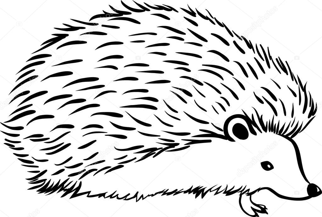 Hedgehog stylization icon logo. Line Monochrome graphics sketch