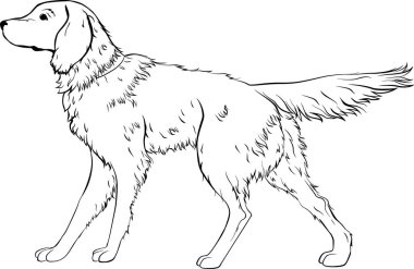 Stilize köpek Hat sanatı. Sanatsal hayvan siluet