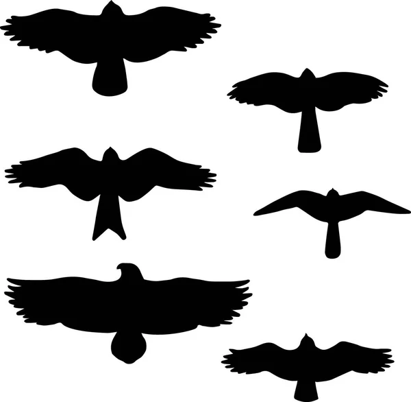 Набор чёрных изолированных силуэтов птиц . — стоковый вектор