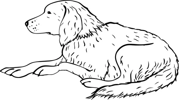 Arte estilizado de línea de perro. Silueta artística animal — Vector de stock