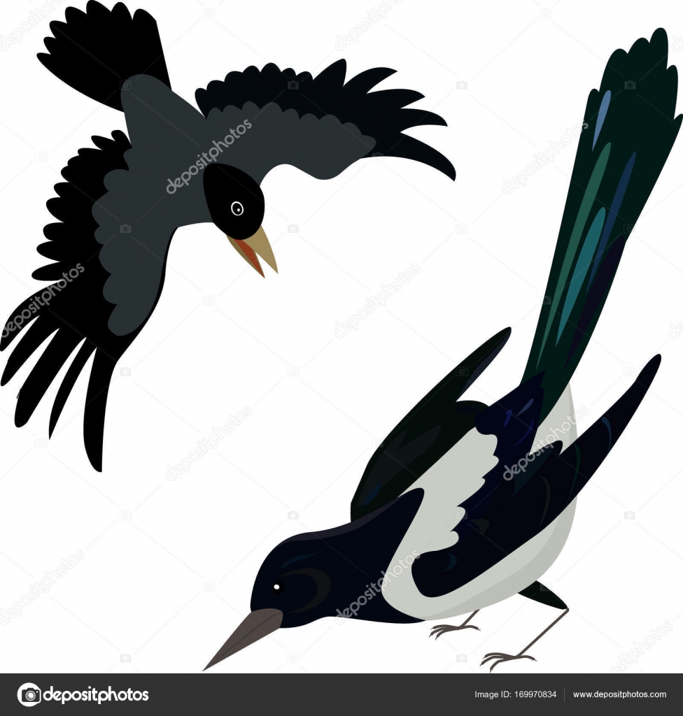 Featured image of post Flying Crow Line Art Affordable and search from millions of royalty free images photos and vectors
