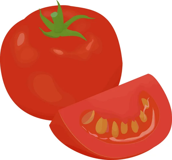 Tomate rojo fresco aislado sobre blanco — Vector de stock