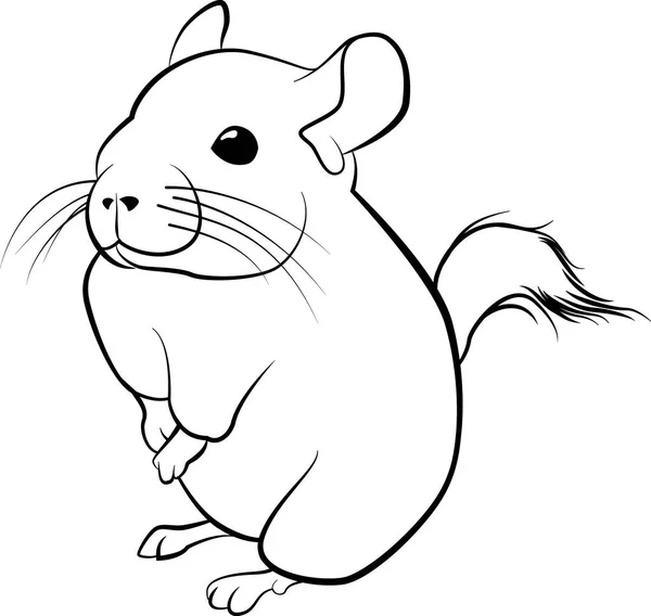 Cute chinchilla line art. black line illustration — Stock Vector