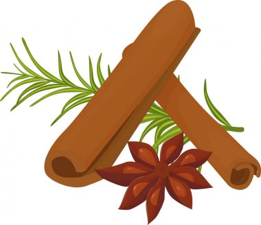 baharat ve baharat bileşimi. anason, biberiye ve üzerinde beyaz izole tarçın