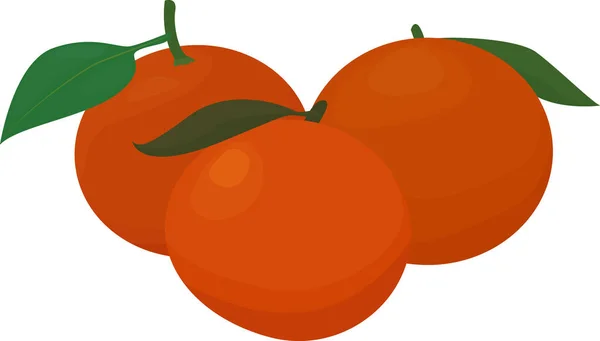Orangen mit Blättern. Ganze Orangen. Vektorillustration. — Stockvektor