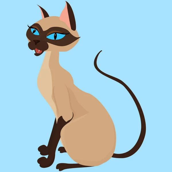 Syjamski Kot siedzi ilustracja na białym tle na niebiesko — Wektor stockowy