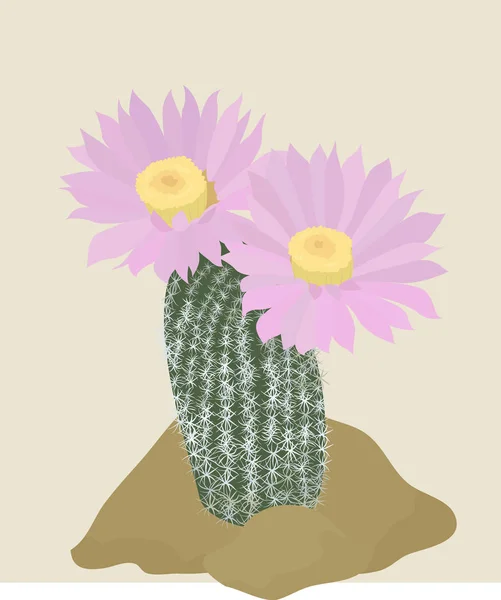 Cactus with pink flowers on the light background. — Stock Vector