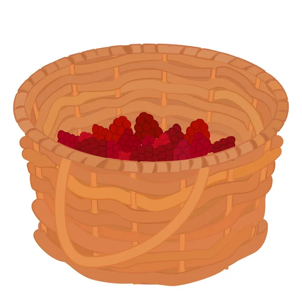 Cartoon basket with raspberries isolated on white — Stock Vector