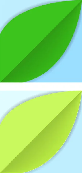 Papír broušený na pozadí se zeleným listem — Stockový vektor