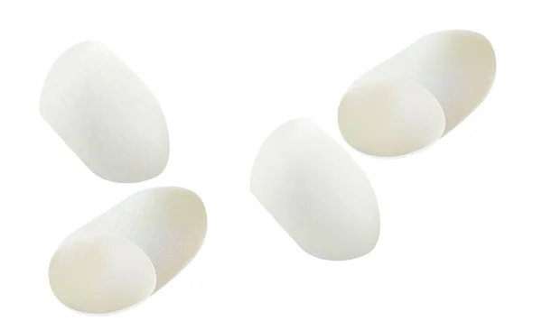 Casulos de bicho-da-seda vazios para limpeza facial, sobre fundo branco — Vetor de Stock
