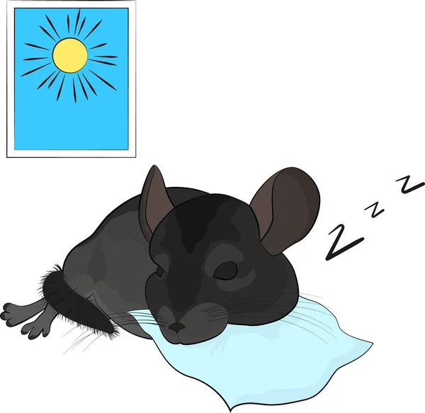 Cartoon chinchilla spí na modrém polštáři. na bílé — Stockový vektor