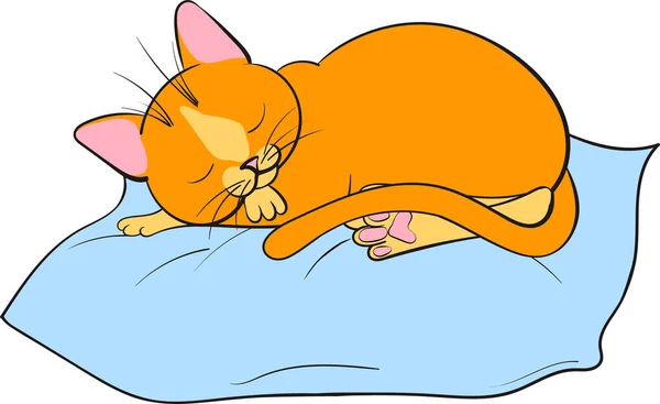 Kızıl kedi mavi yastıkta uyur. Çizgi film kedisi stok vektör çizimi beyaz arkaplanda izole