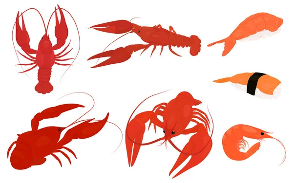 Conjunto de lagosta vermelha cozida, lagostim e camarão —  Vetores de Stock