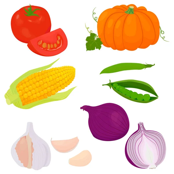 Verduras Vector Icono Conjunto Incluye Tomate Maíz Cebolla Ajo Guisantes — Vector de stock