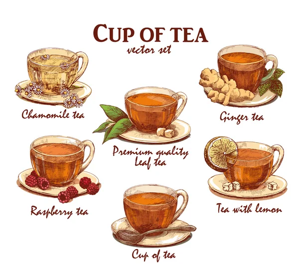 Colored hand drawn cup of tea set — Διανυσματικό Αρχείο