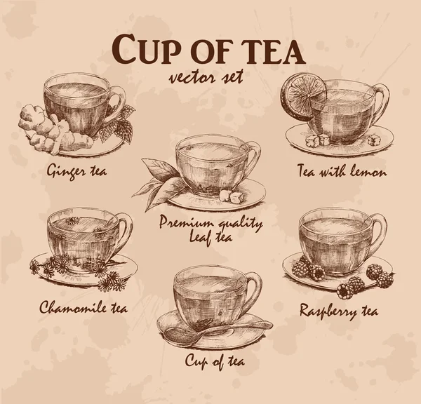 Φλιτζάνι τσάι σετ — Διανυσματικό Αρχείο