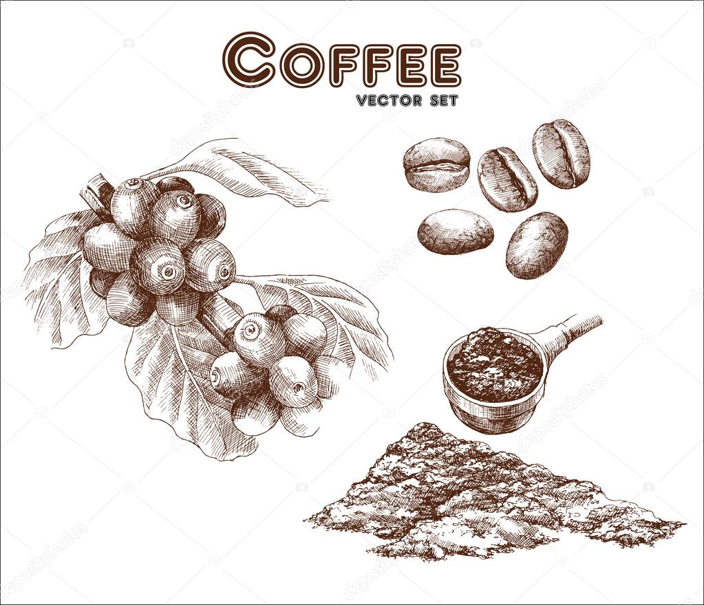 Coffee hand drawn set 
