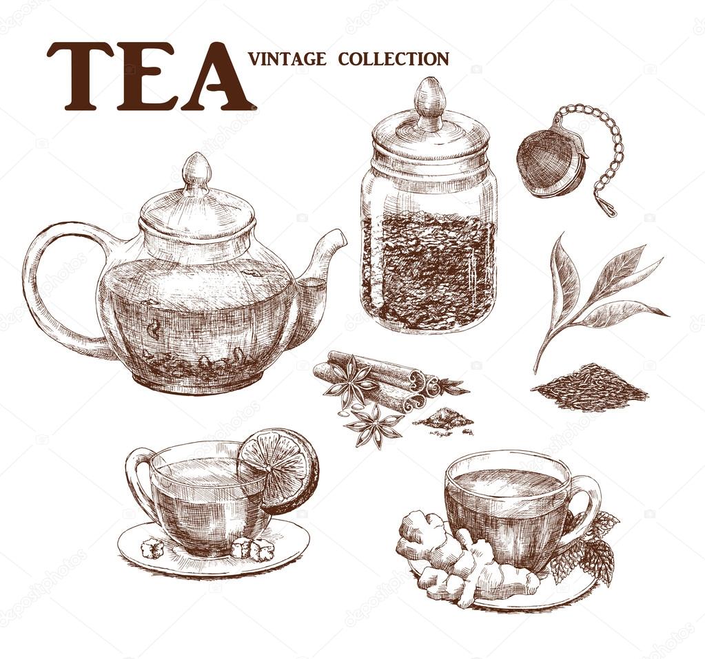 Tea hand drawn set