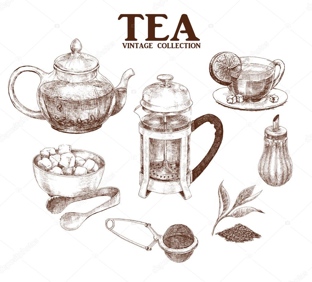 Tea hand drawn set 2