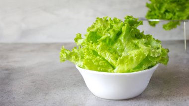 Banner marul yaprakları ve gri arka planda beyaz salata kasesinde damlalar. Parlak yeşil renk. Uzayı kopyala Sağlıklı beslenme kavramı. Diyet.