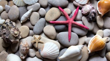 Deniz yıldızlarının arka planı, çakıl taşları, taşlar ve kabuklar. Yaz kartı. Deniz kıyısında. Spa taşları. Tatil ve aile tatili kavramı. Boşluğu kopyala