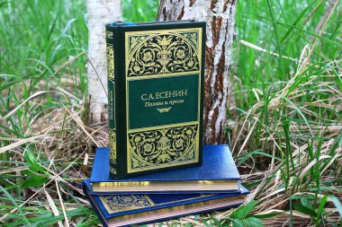 Rus şair Sergei Yesenin 'in kitapları, huş ve ağaçların ortasında.