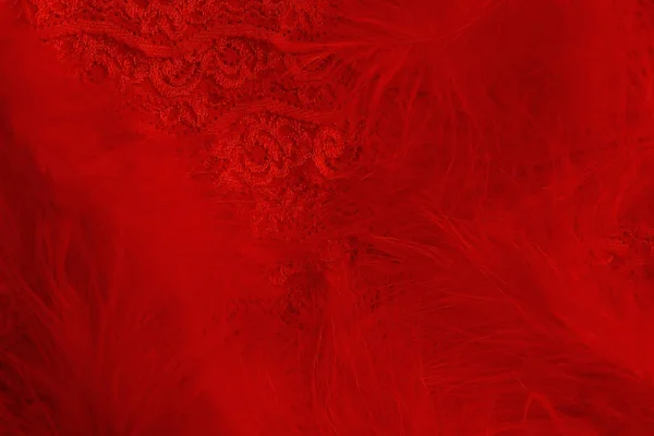 复古滑稽可笑风格的红色蓬松羽毛和红色花边的背景 — 图库照片