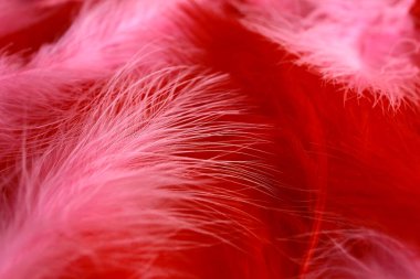 Art deco retro ve burlesque tarzında kırmızı ve pembe fuşya tüylerinin arka planı