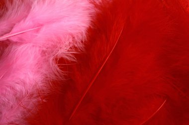 Art deco retro ve burlesque tarzında kırmızı ve pembe fuşya tüylerinin arka planı