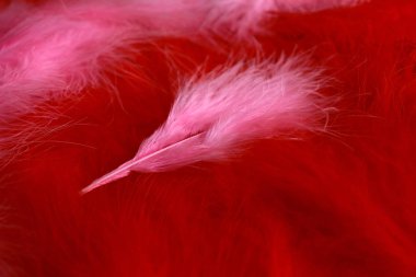 Art deco retro ve burlesque tarzında kırmızı ve pembe fuşya tüylerinin arka planı