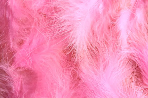 艺术装饰中紫色羽毛的粉红背景 复古滑稽剧嘉年华 — 图库照片