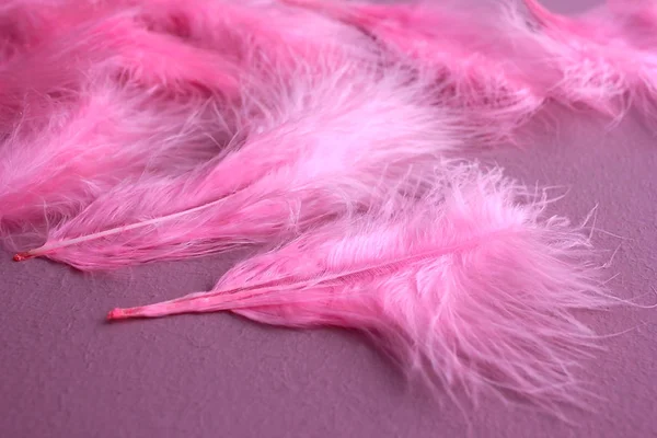 Pink boa background of purple feathers in flamingo art deco retro burlesque carnival