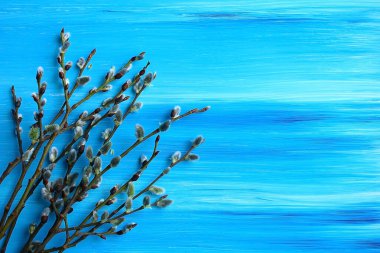 Söğüt dallarından bir buket ikebana solda, gökyüzü mavisi bir tuval üzerinde yatıyor. Tasarımcı metni için boşluk