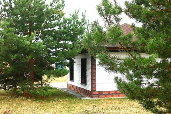 Uma Pequena Casa Tijolo Branco Andar Entre Pinheiros Jardim Paisagístico — Fotografia de Stock