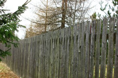 Ahşap çitler boyunca çıplak bahar köknar ağaçları, huş ağaçları ve yeşil çam ağaçları vardır. Bulutlu hava