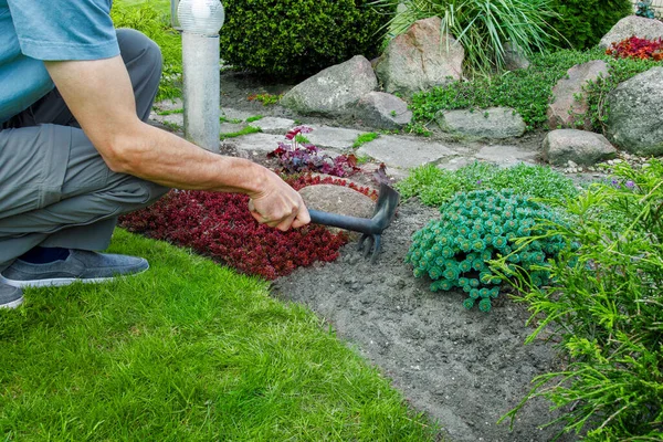 A man cultivates the soil in an ornamental garden. Work and leisure in the garden.