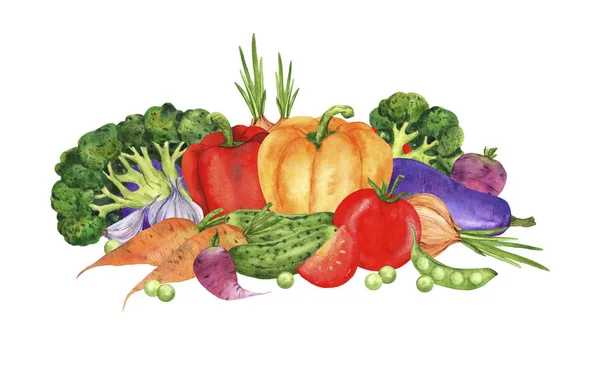 Composition Bright Watercolor Vegetables Hand Drawn Wooden Board White Background — Stock Photo, Image