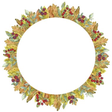 Kartpostal, tekstil, kumaş, baskı ve herhangi bir tasarım için farklı renk, boyut ve şekillerde suluboya böğürtlen, dal ve sonbahar yapraklarıyla sonbahar çelengi