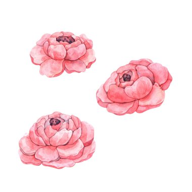 Kağıt, baskı, keten, kumaş, hatıra eşyası ve herhangi bir tasarım için çeşitli tonlardaki suluboya leylak şakayıklarıyla hassas bir tırmanış.