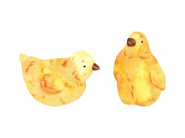 Baskı, tebrik kartları, kumaşlar, tekstil, tatiller, duvar kağıtları, kağıt ve hurda unsurları için suluboya sarı küçük tavuklar.