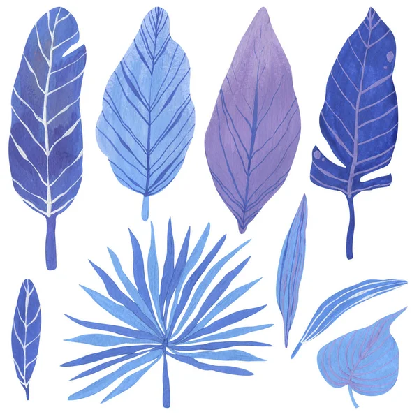 Tropical Leaves Hand Drawn Gouache Blue Pale Blue Pale Lilac — Stock Photo, Image